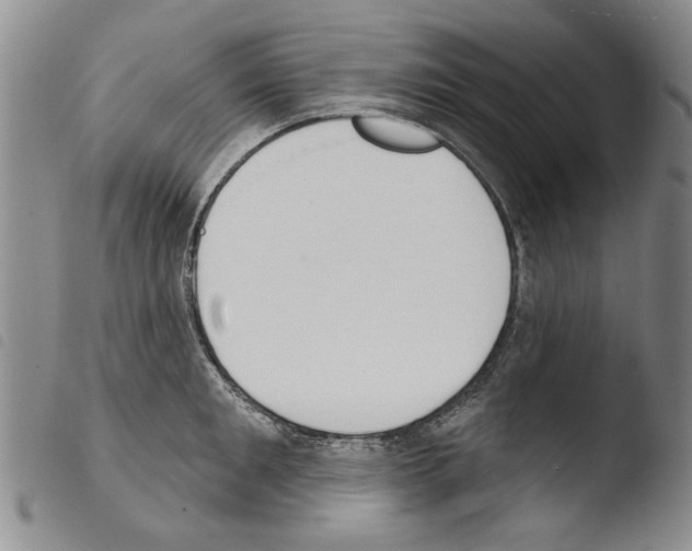 X0000103460901200810240946
