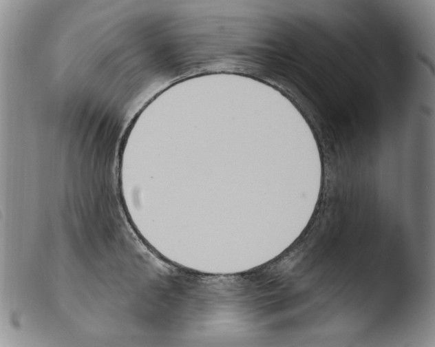 X0000103460902200810240946
