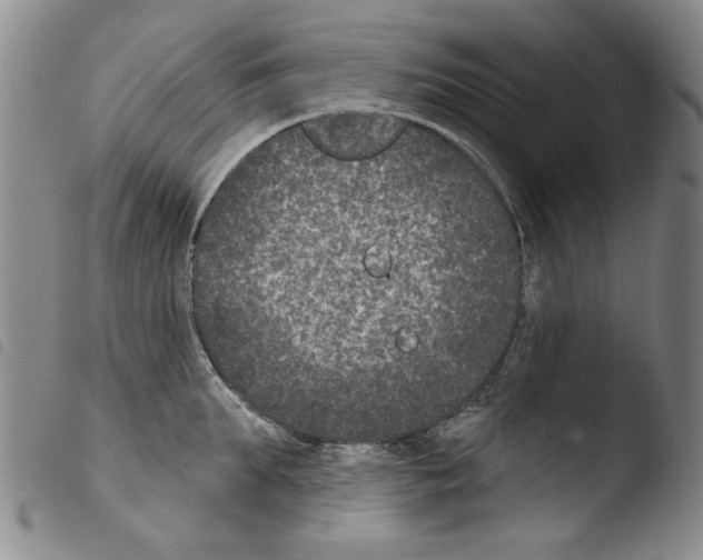 X0000103460903200810240946