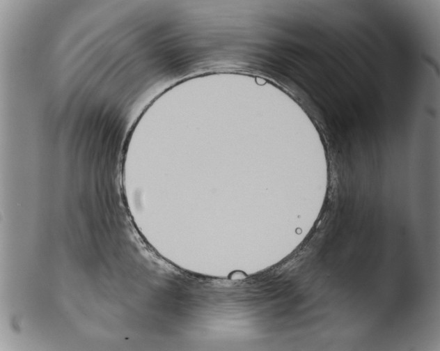 X0000103460904200810240946