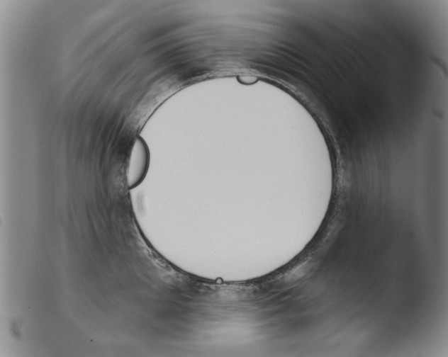 X0000103460905200810240946