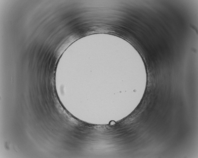 X0000103460906200810240946