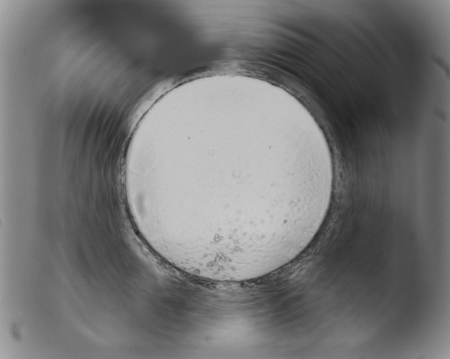 X0000103460907200810240946