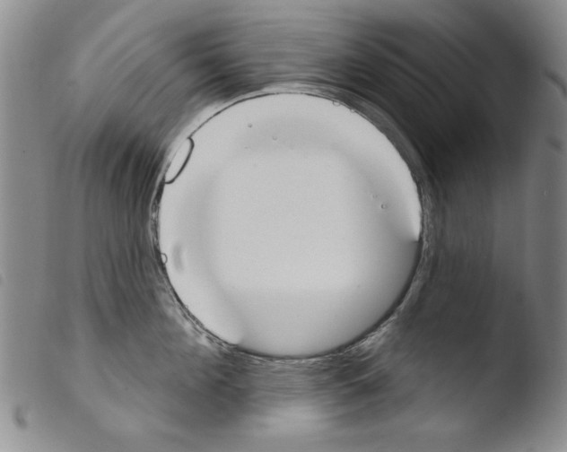 X0000103460908200810240946