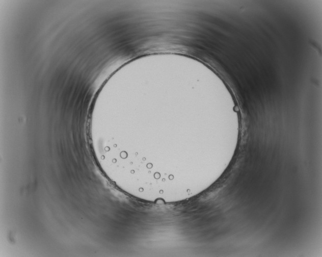 X0000103460909200810240946