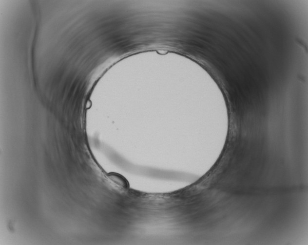 X0000103460910200810240946