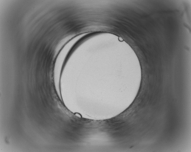 X0000103460912200810240946