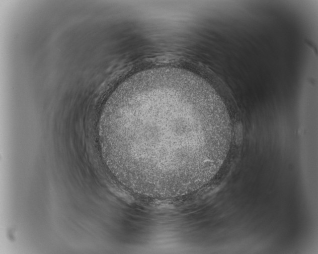 X0000103460913200810240946