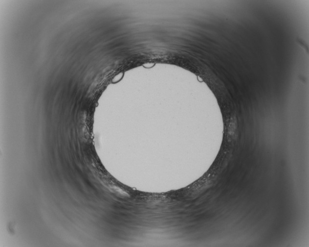 X0000103460916200810240946