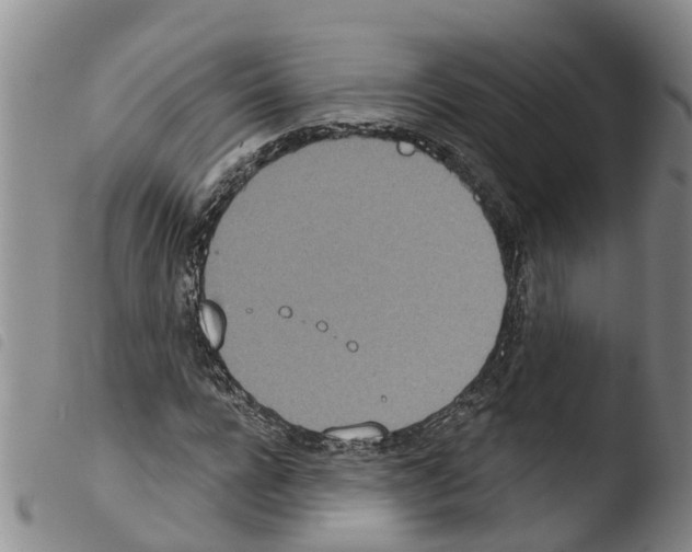 X0000103460920200810240946