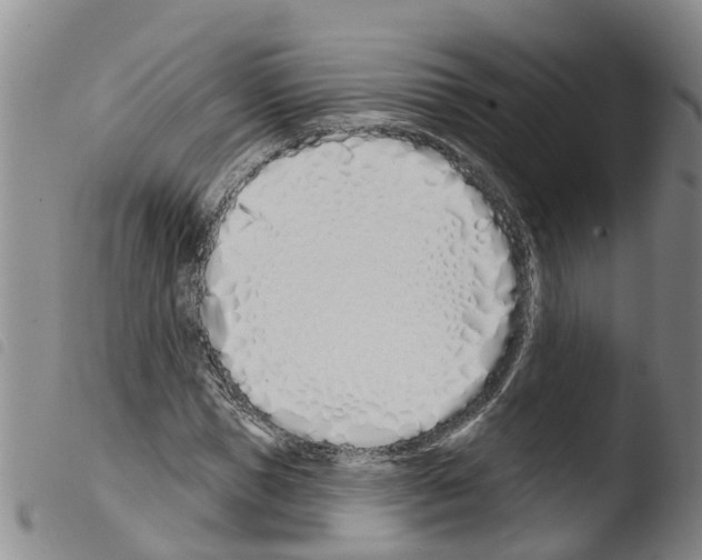 X0000103460921200810240946