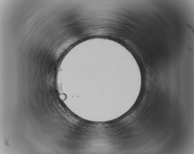 X0000103460922200810240946