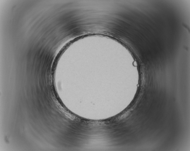 X0000103460924200810240946