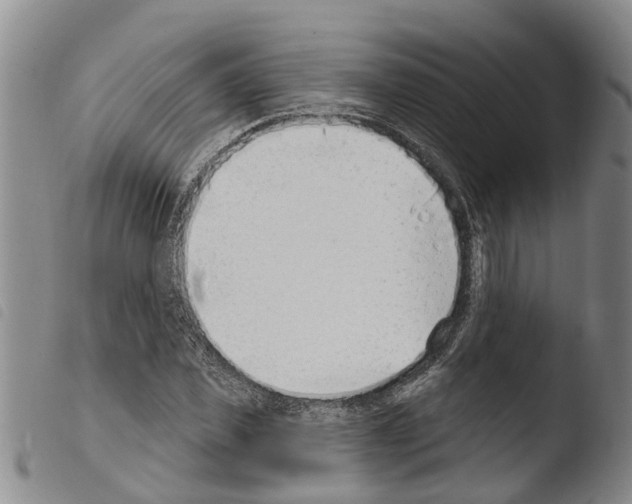 X0000103460925200810240946