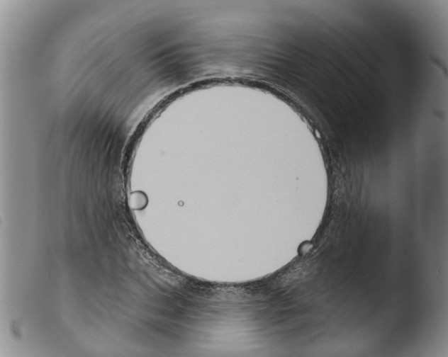 X0000103460927200810240946