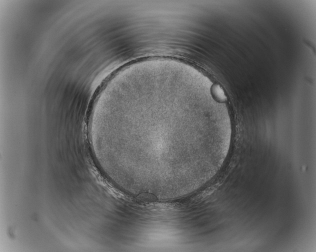 X0000103460928200810240946