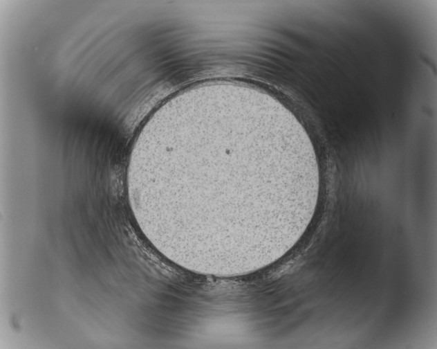 X0000103460929200810240946