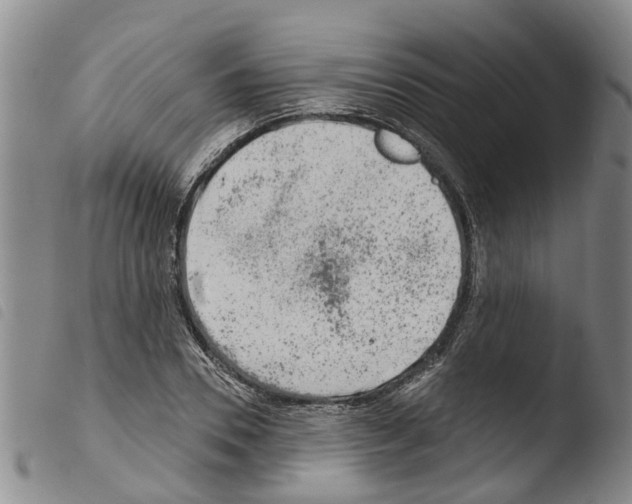 X0000103460930200810240946