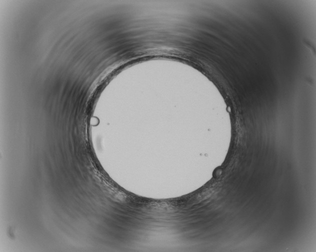 X0000103460931200810240946