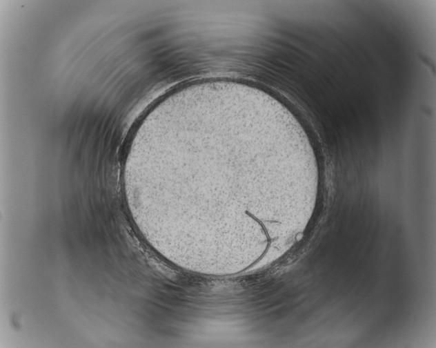 X0000103460933200810240946
