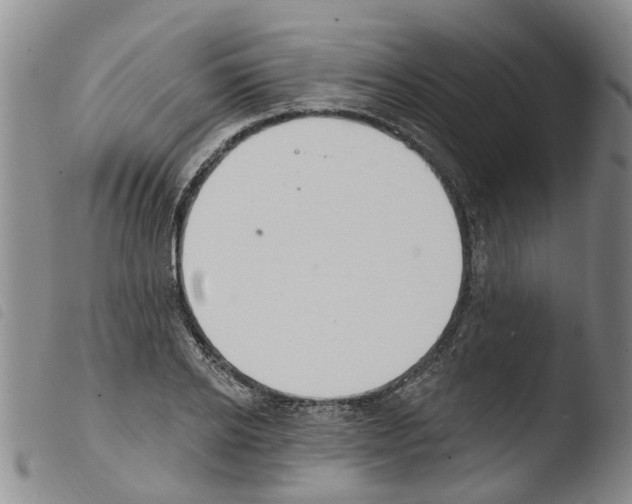 X0000103460934200810240946