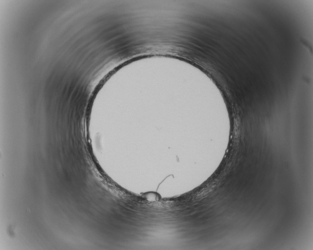 X0000103460936200810240946