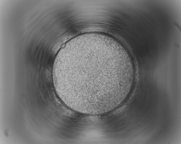 X0000103460937200810240946