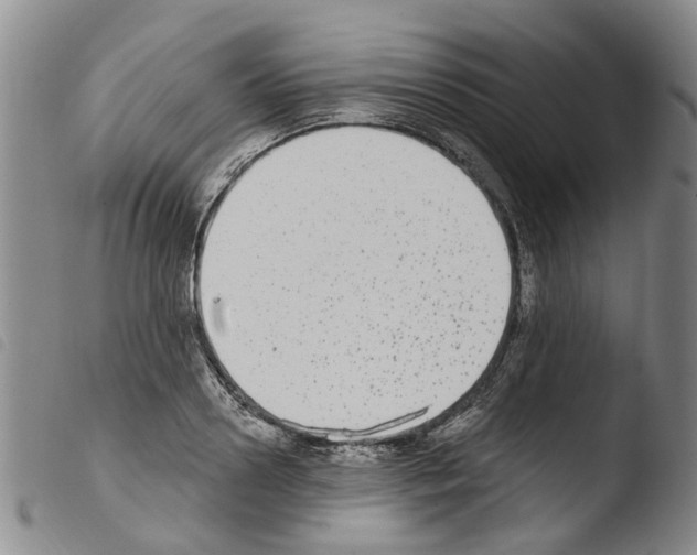 X0000103460938200810240946