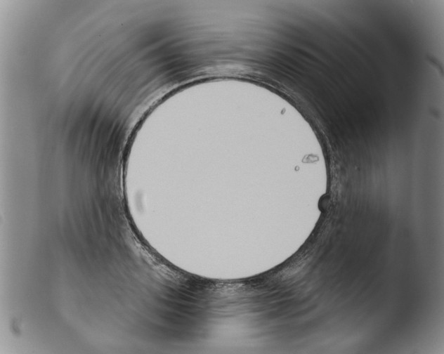 X0000103460939200810240946