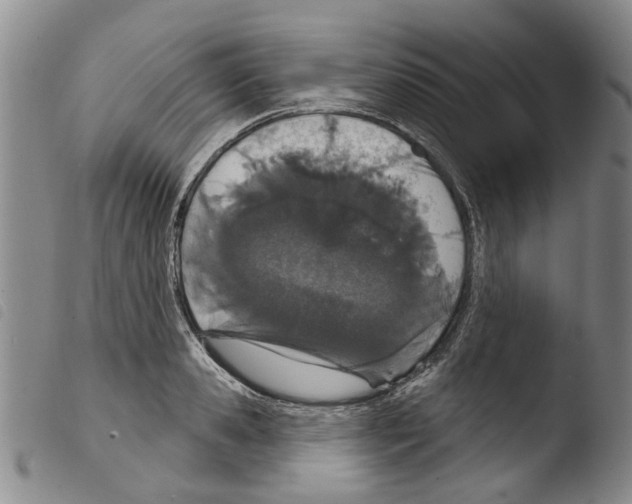 X0000103460941200810240946