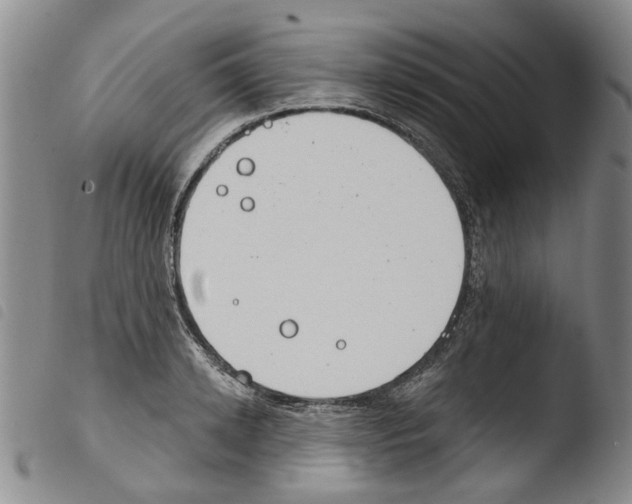X0000103460942200810240946