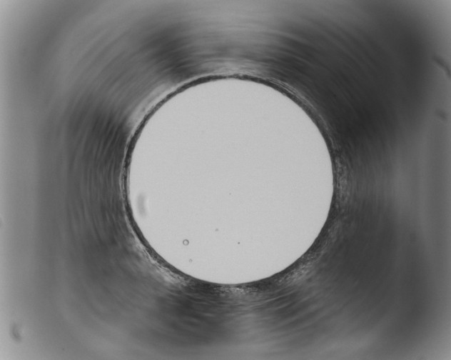 X0000103460943200810240946