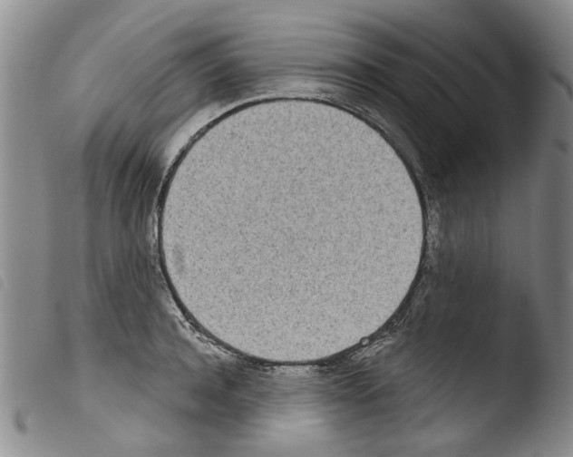 X0000103460944200810240946