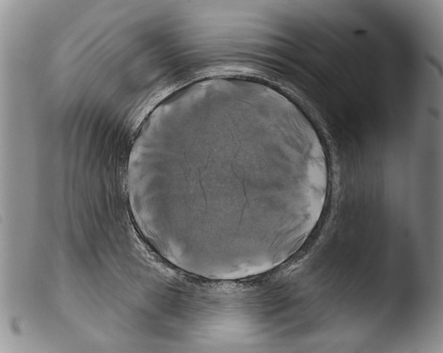 X0000103460945200810240946