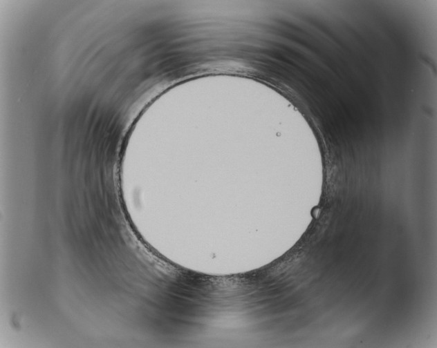 X0000103460947200810240946