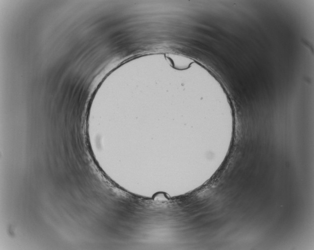 X0000103460949200810240946