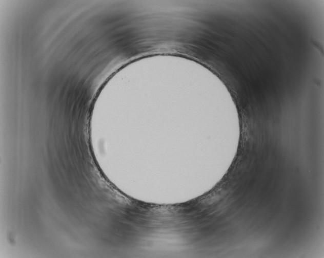 X0000103460950200810240946