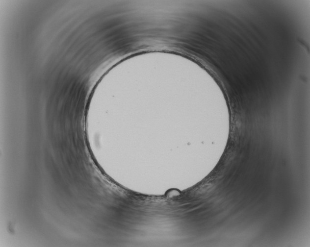 X0000103460951200810240946
