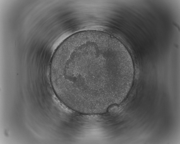 X0000103460952200810240946