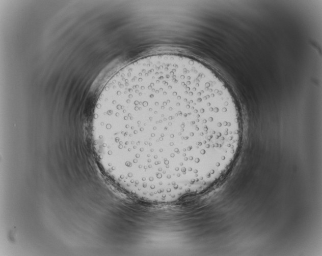 X0000103460953200810240946