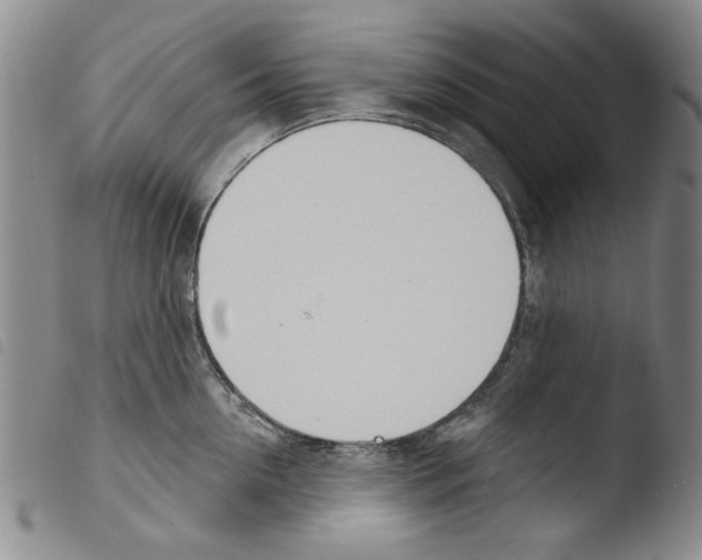 X0000103460954200810240946