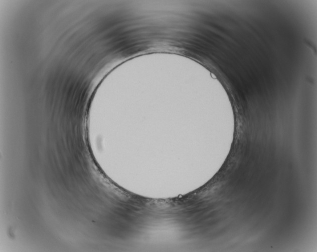X0000103460955200810240946