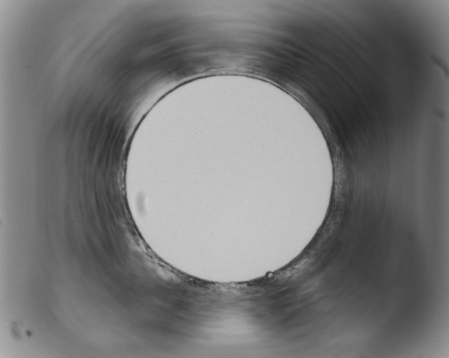 X0000103460956200810240946