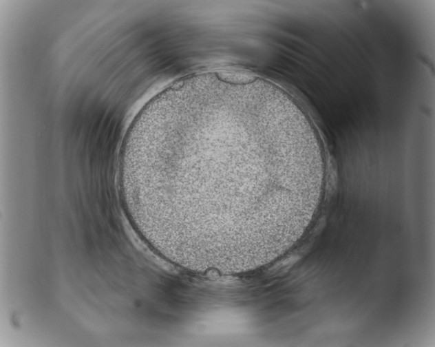 X0000103460957200810240946