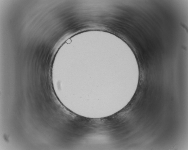 X0000103460959200810240946