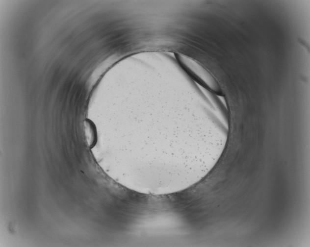 X0000103460960200810240946