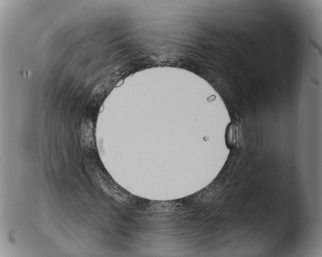 X0000103460963200810240945