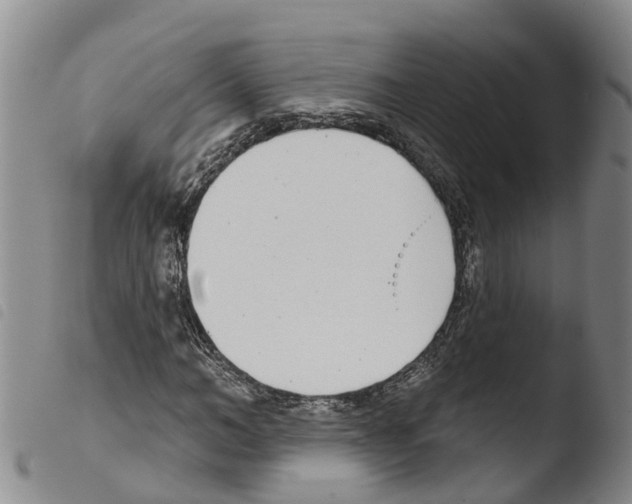 X0000103460966200810240945