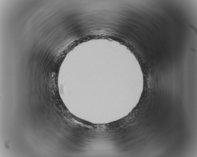 X0000103460968200810240945