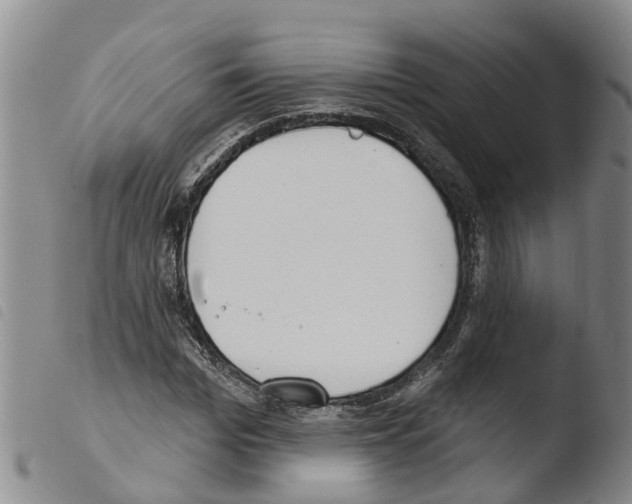 X0000103460969200810240945